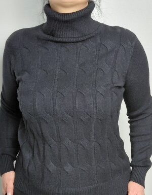 pull col roulé.